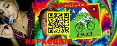 ПСИЛОЦИБИНОВЫЕ ГРИБЫ Кулебаки